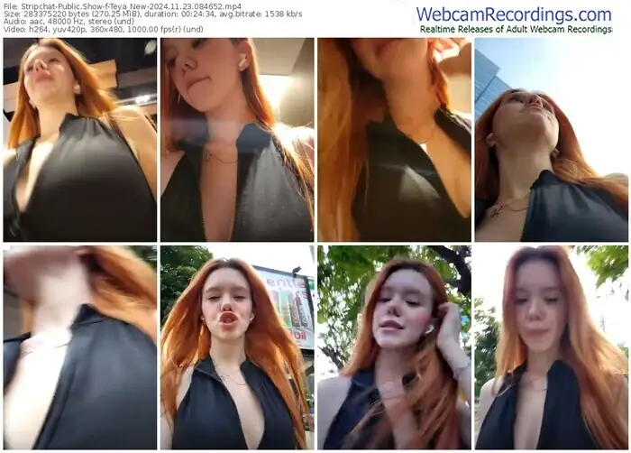 2024/11/23/stripchat-teya_new-08-46-52