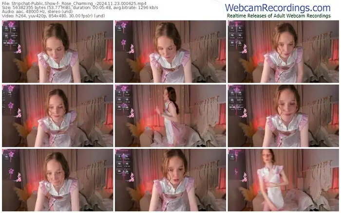 2024/11/23/stripchat-_rose_charming_-00-06-25