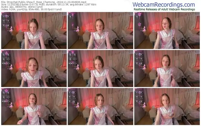 2024/11/23/stripchat-_rose_charming_-00-49-36