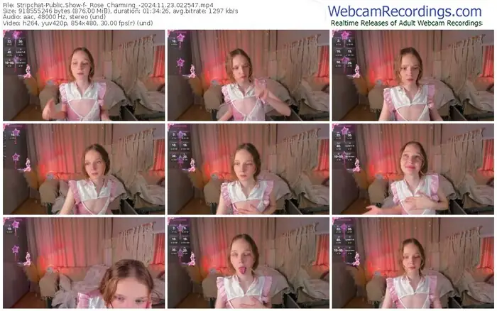 2024/11/23/stripchat-_rose_charming_-02-25-47