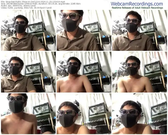 2024/11/23/stripchat-owl1216-12-54-19