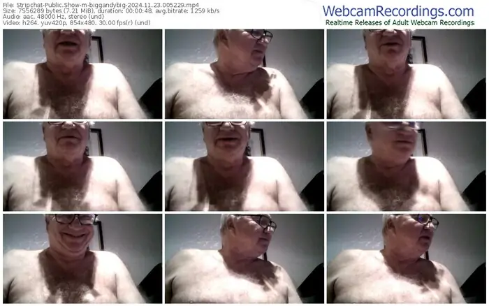 2024/11/23/stripchat-biggandybig-00-52-29