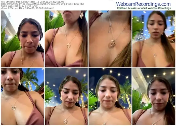 2024/11/24/stripchat-hall_16-22-26-56