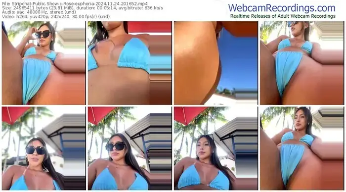 2024/11/24/stripchat-rose-euphoria-20-16-52