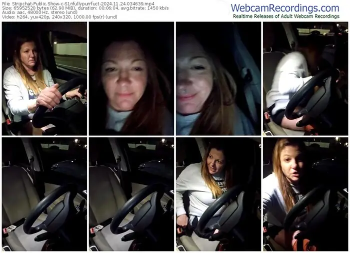 2024/11/24/stripchat-s1nfullypurrfuct-03-46-39