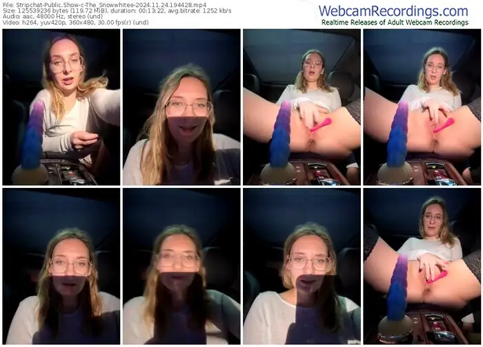 2024/11/24/stripchat-the_snowwhitee-19-44-28