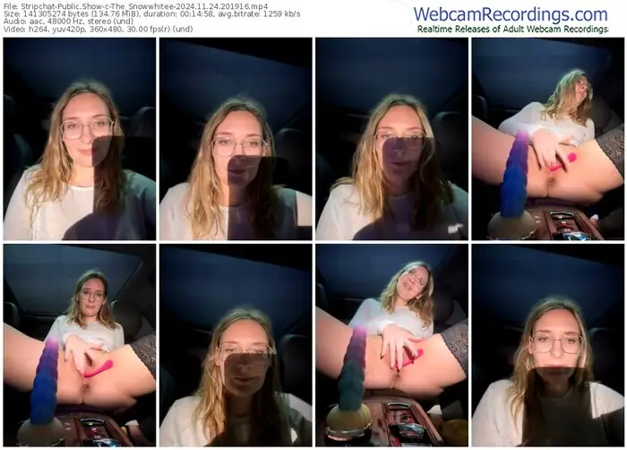 2024/11/24/stripchat-the_snowwhitee-20-19-16