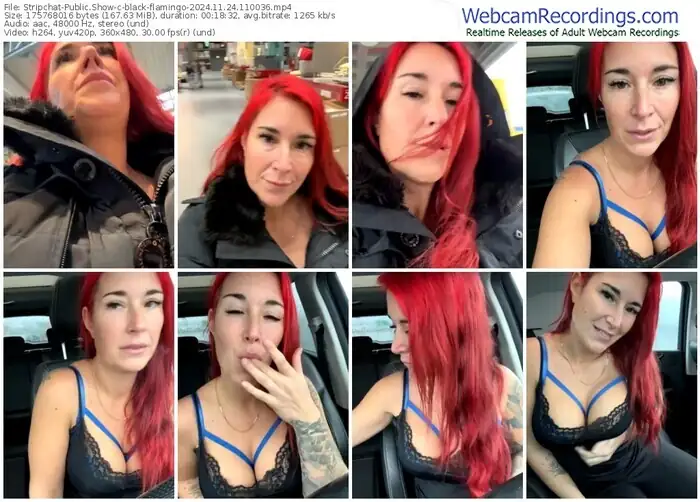 2024/11/24/stripchat-black-flamingo-11-00-36