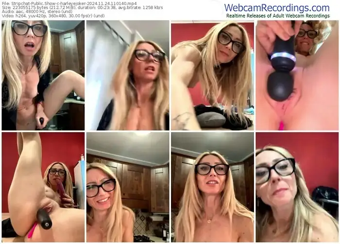 2024/11/24/stripchat-harleyejoker-11-01-40