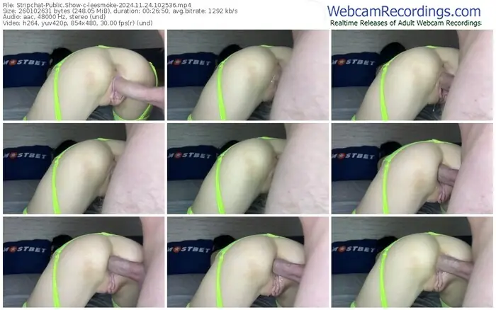 2024/11/24/stripchat-leesmoke-10-25-36