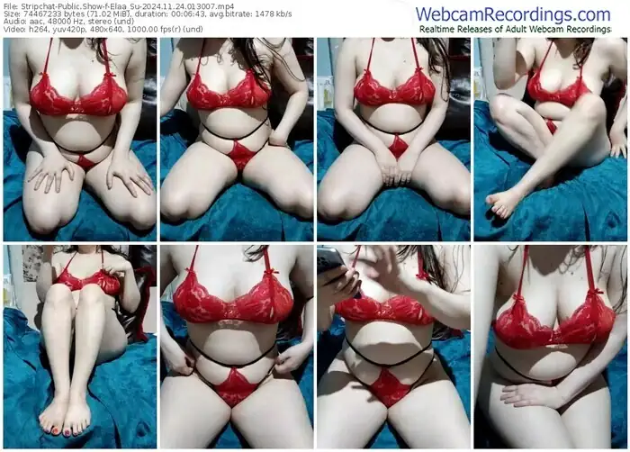 2024/11/24/stripchat-elaa_su-01-30-07