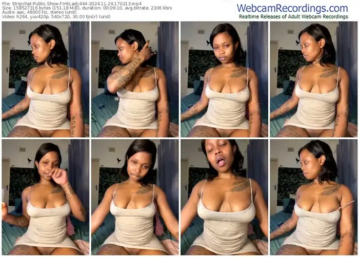 2024/11/24/stripchat-inklady444-17-02-13