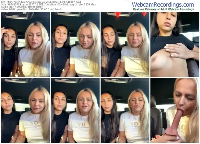 2024/11/24/stripchat-keep_us_wild-04-43-17