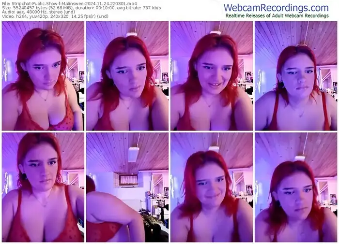 2024/11/24/stripchat-malinswee-22-03-01