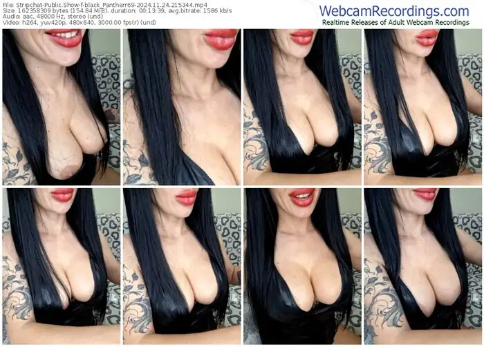 2024/11/24/stripchat-black_pantherr69-21-53-44