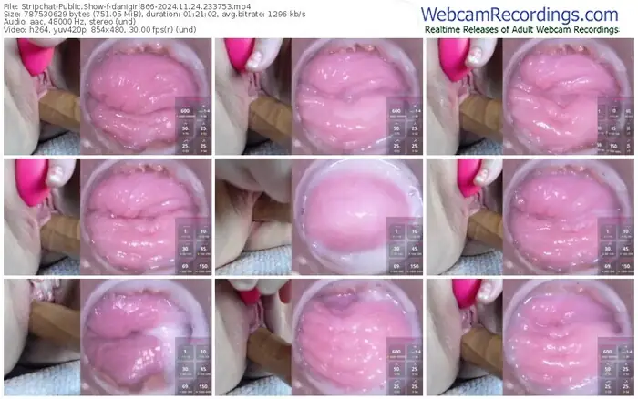 2024/11/24/stripchat-danigirl866-23-37-53