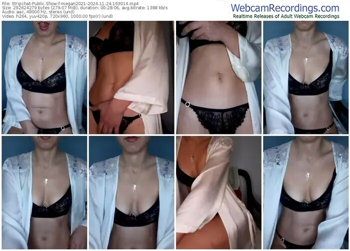 2024/11/24/stripchat-megan2021-16-30-14