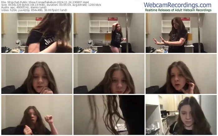 2024/11/24/stripchat-snowflakebun-23-08-07