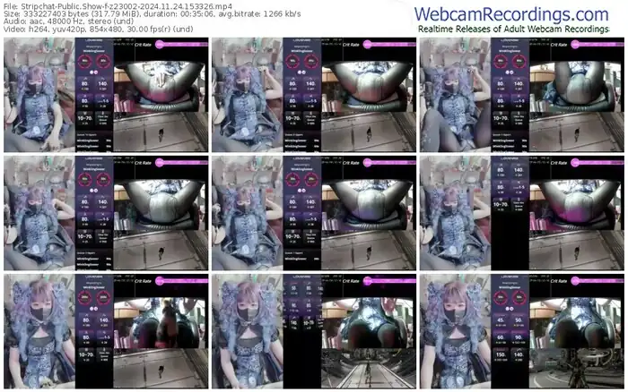 2024/11/24/stripchat-z23002-15-33-26