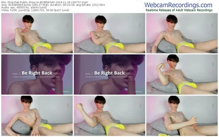 2024/11/24/stripchat-bobrikgay-19-07-57