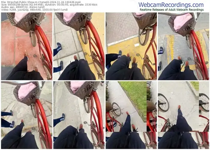 2024/11/24/stripchat-ctoned2-16-04-28