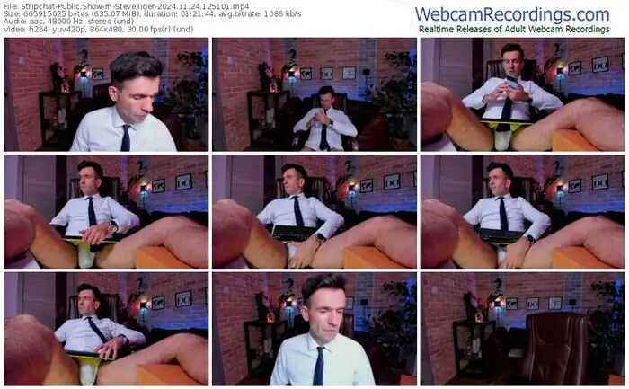 2024/11/24/stripchat-stevetiger-12-51-01