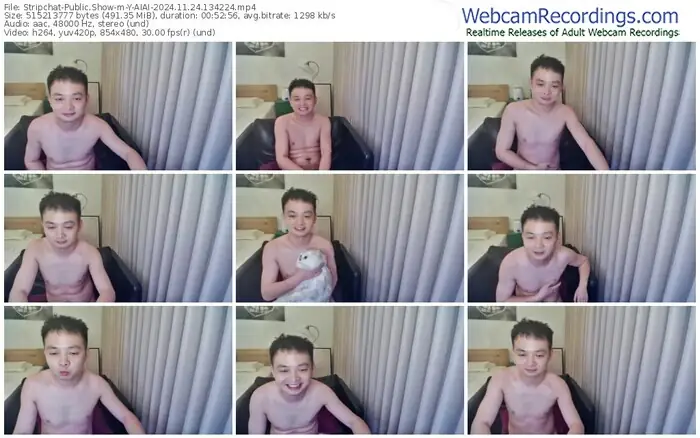 2024/11/24/stripchat-y-aiai-13-42-24