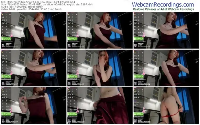 2024/11/24/stripchat-lee_loo-12-54-08