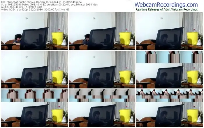 2024/11/25/stripchat-dahian_xxx-00-56-49