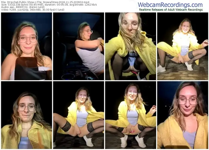 2024/11/25/stripchat-the_snowwhitee-20-39-02
