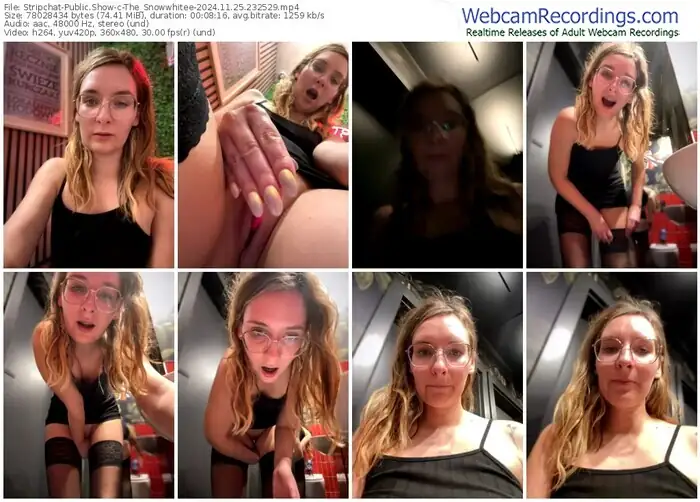 2024/11/25/stripchat-the_snowwhitee-23-25-29