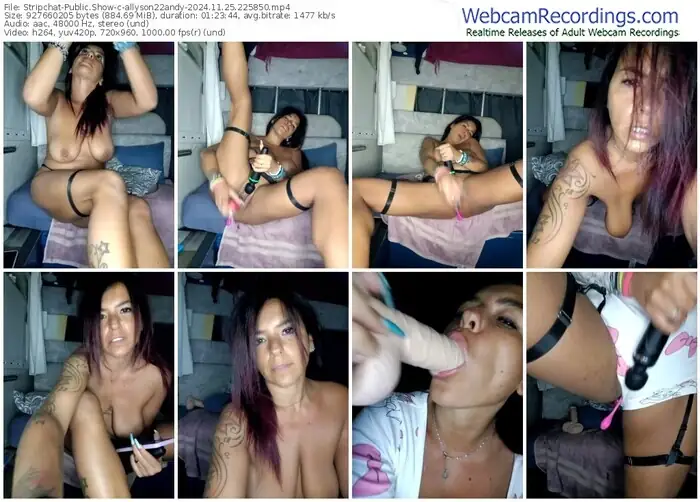 2024/11/25/stripchat-allyson22andy-22-58-50