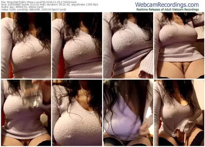 2024/11/25/stripchat-eva750-17-43-43