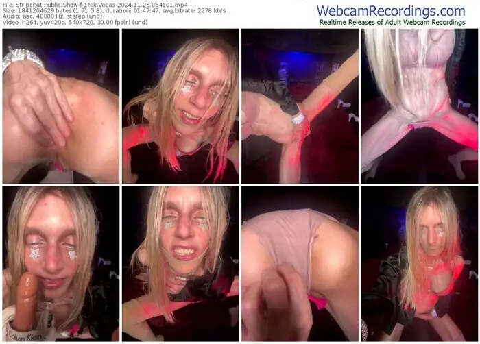 2024/11/25/stripchat-1nikivegas-06-41-01