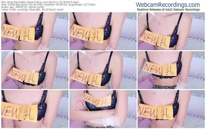2024/11/25/stripchat-alice_ovo-00-40-15