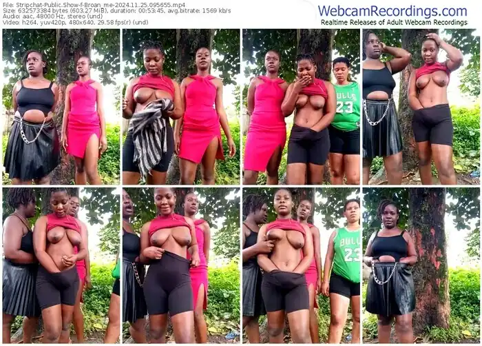 2024/11/25/stripchat-broan_me-09-56-55