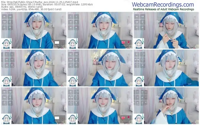 2024/11/25/stripchat-ruirui_ovo-12-54-07