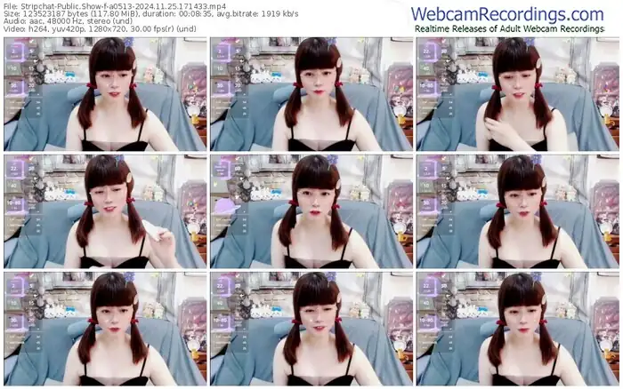 2024/11/25/stripchat-a0513-17-14-33