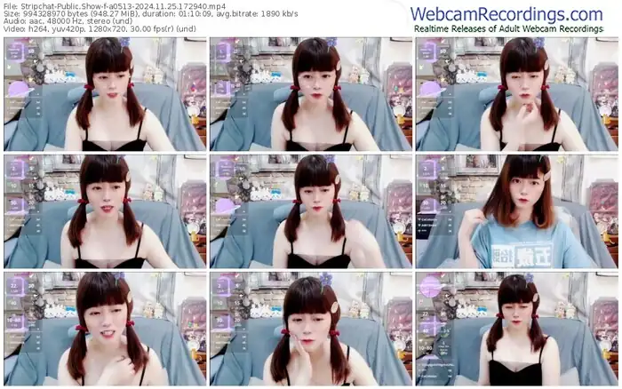 2024/11/25/stripchat-a0513-17-29-40