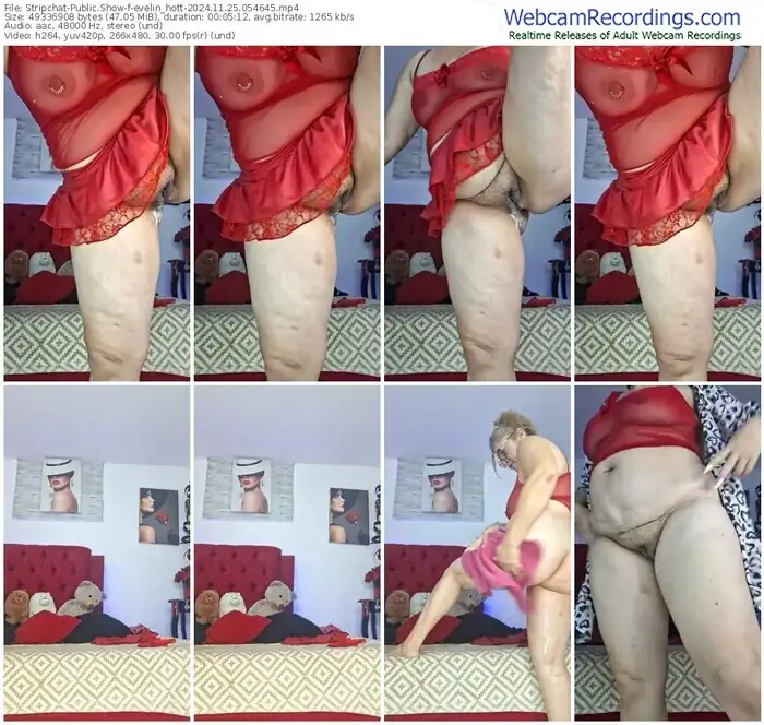 2024/11/25/stripchat-evelin_hott-05-46-45