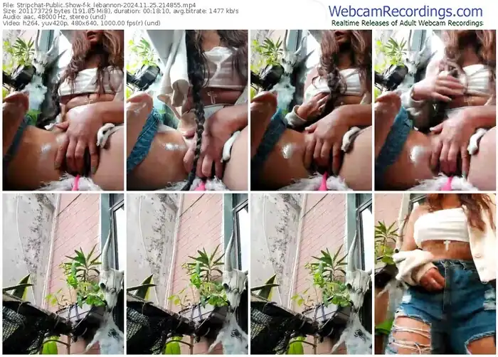 2024/11/25/stripchat-k_lebannon-21-48-55