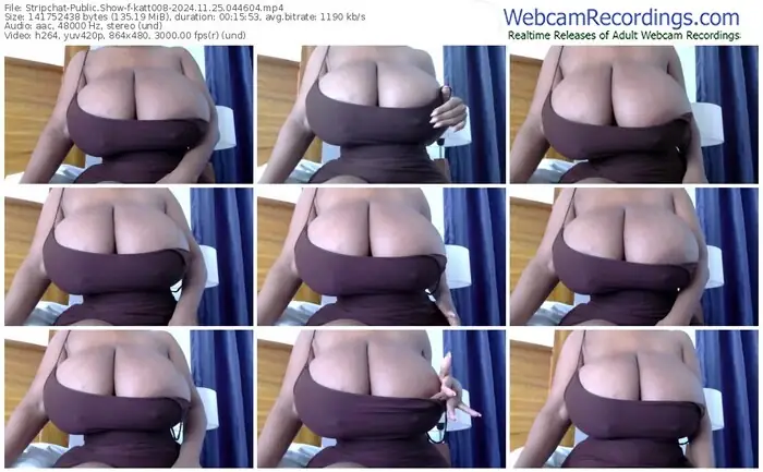 2024/11/25/stripchat-katt008-04-46-04