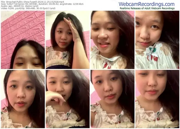 2024/11/25/stripchat-pqnll-15-25-28