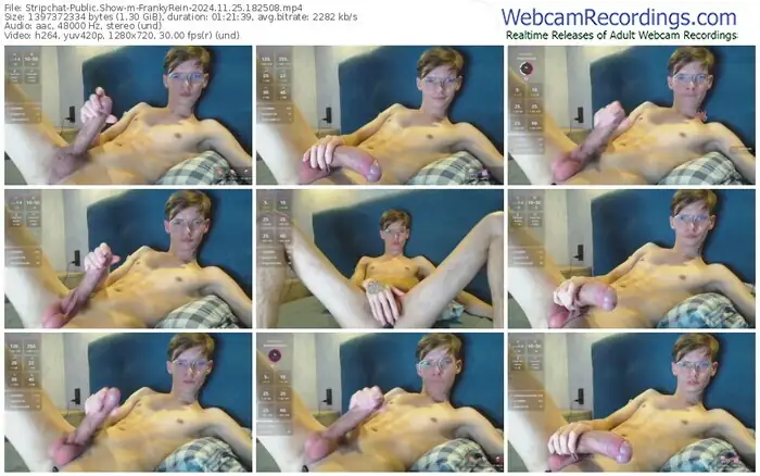 2024/11/25/stripchat-frankyrein-18-25-08