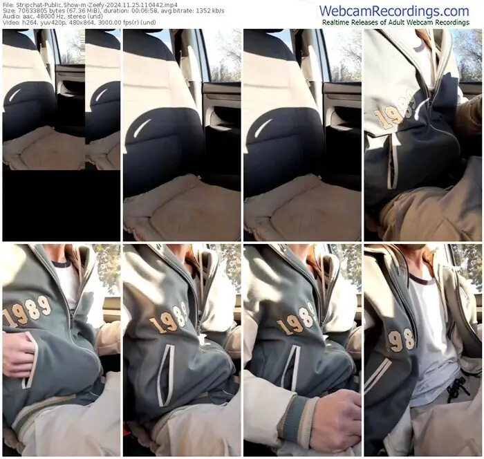 2024/11/25/stripchat-zeefy-11-04-42