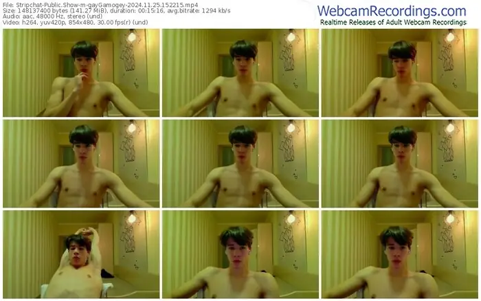 2024/11/25/stripchat-gaygamogey-15-22-15