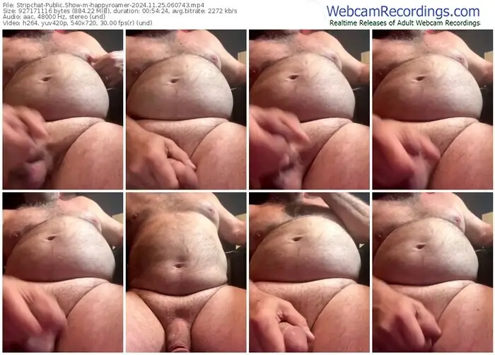 2024/11/25/stripchat-happyroamer-06-07-43