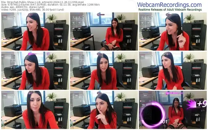 2024/11/26/stripchat-lib_ertine32-11-23-59