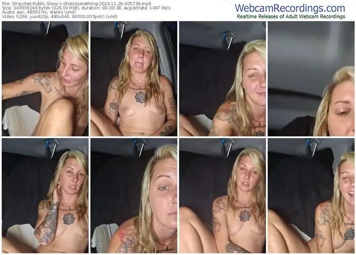 2024/11/26/stripchat-sheissomething-00-57-39