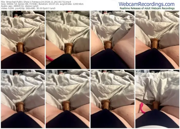2024/11/26/stripchat-honeyyy24-19-17-32